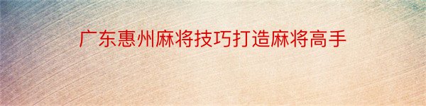 广东惠州麻将技巧打造麻将高手