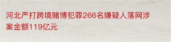 河北严打跨境赌博犯罪266名嫌疑人落网涉案金额119亿元